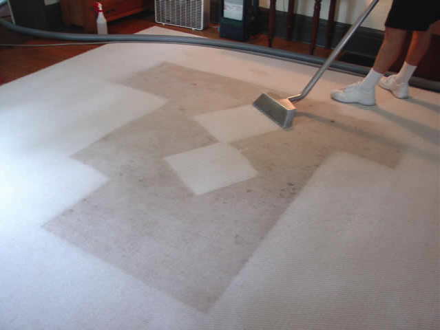 קו נקי המומחים לניקוי ספות, שטיחים, מזרנים וריפודים